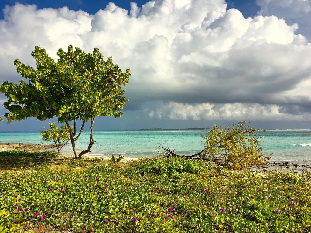 Faza View Inn, Maafushi Luaran gambar